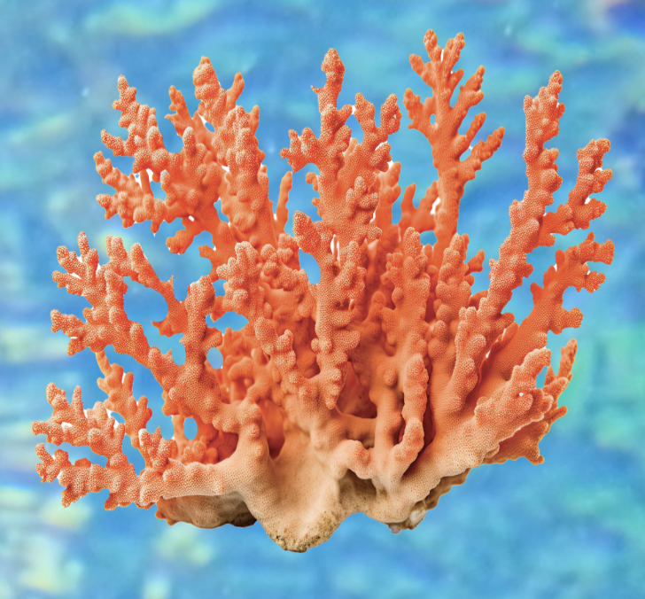 Beneath the Blue Preview